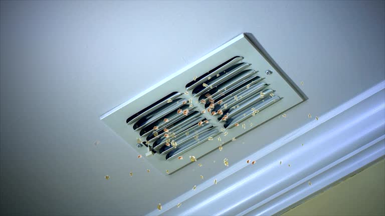 Best Affordable Air Duct Cleaning  in Safety Harbor, FL